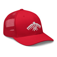 Thumbnail for Thunderbird Mesh Cap