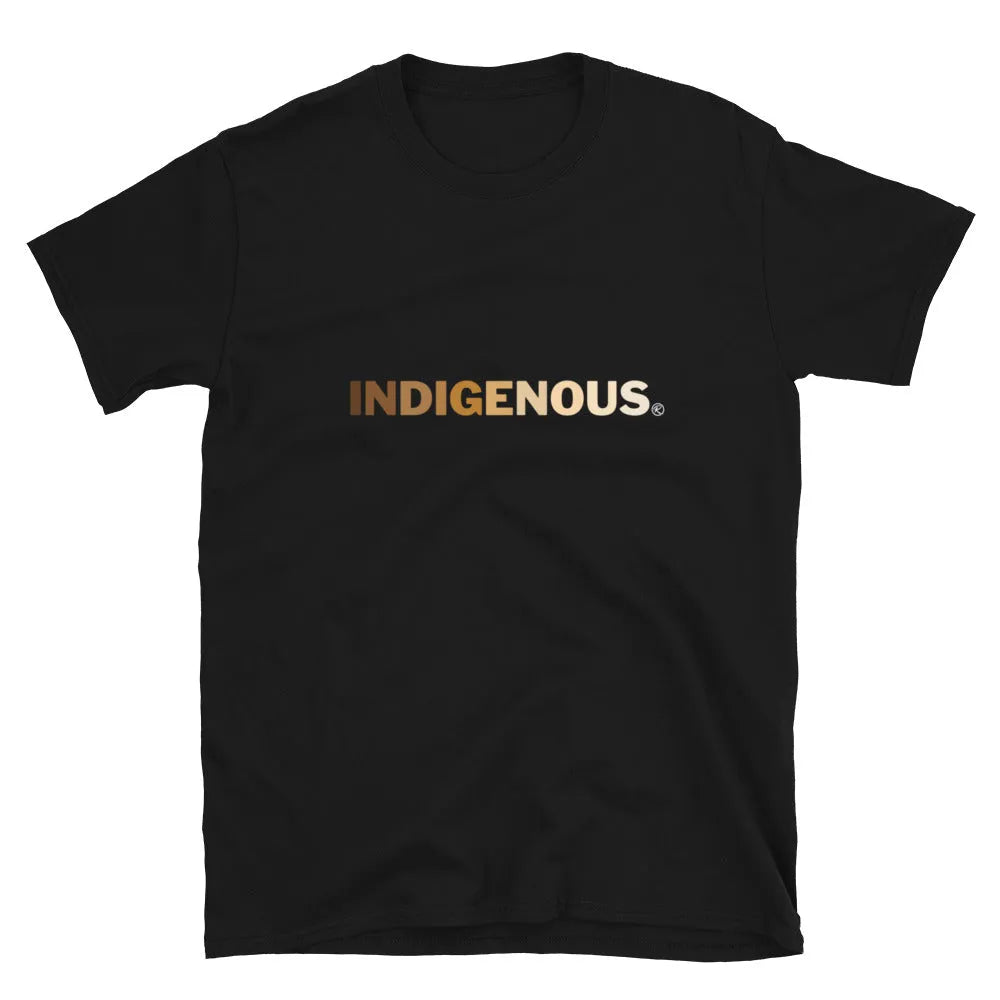 Melanin Indigenous T-shirt