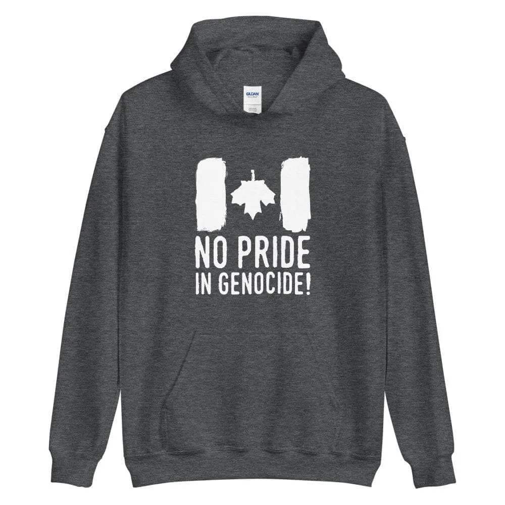 No Pride Hoodie