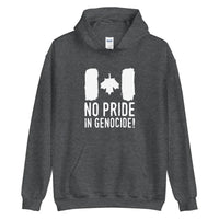 Thumbnail for No Pride Hoodie