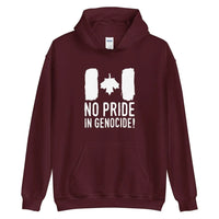 Thumbnail for No Pride Hoodie